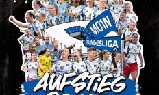 爱游戏官方入口-汉堡队主场大胜，德甲排名得到明显提升