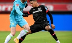 爱游戏官方登录入口-沃尔夫斯堡在欧联杯大获全胜