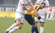 热那亚主场不敌维罗纳，保级前景堪忧的简单介绍