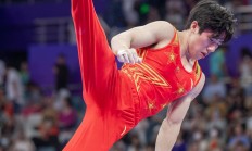 体操男子单项赛选手各展身手