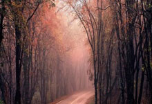 梅西领衔巴萨征战，备受期待