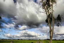 曼城力克巴萨：瓜帅战绩喜人