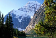 天津泰达不敌上海申花，遭遇连败