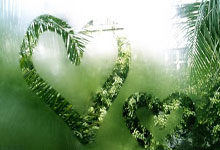 爱游戏在线登录-克洛普盛赞多特蒙德 表现令人惊叹 给予高度评价，克洛普的多特和利物浦对比