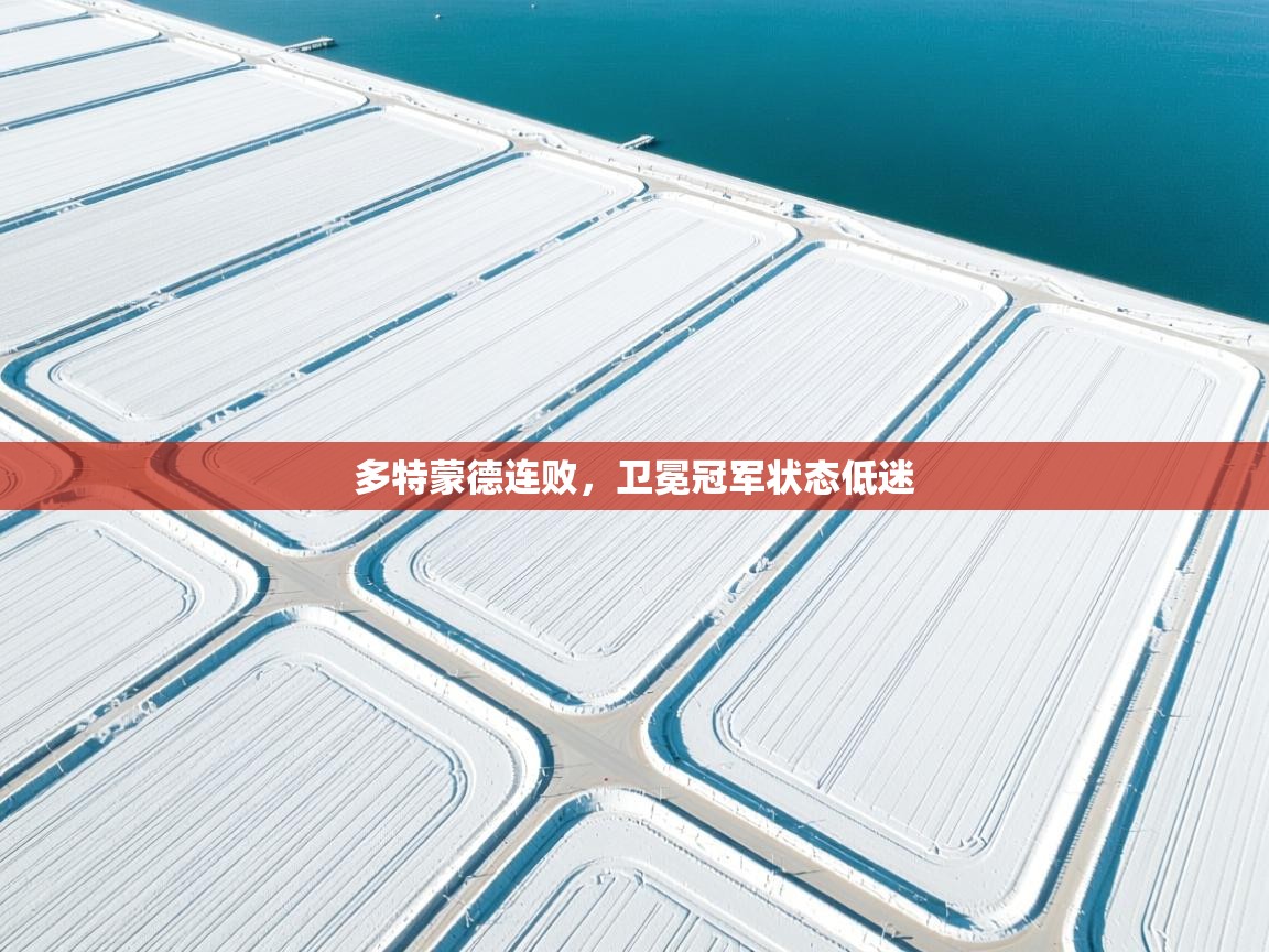 多特蒙德连败，卫冕冠军状态低迷  第2张