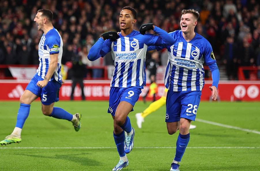 布赖顿主场告捷，哈特为球队逆转比分的简单介绍