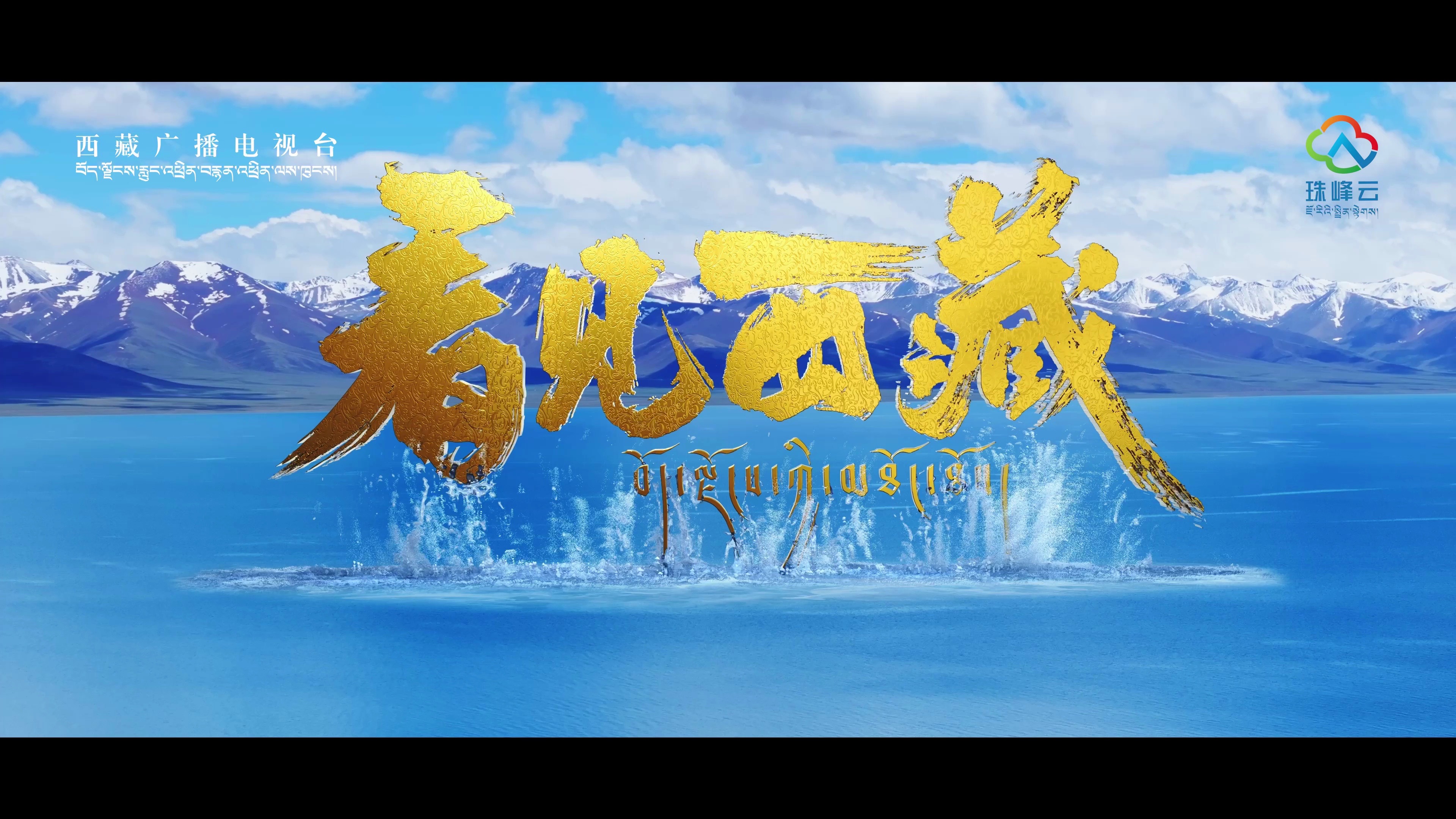 西藏队上演逆袭，实力不容小觑的简单介绍