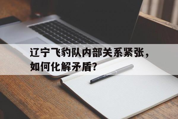 辽宁飞豹队内部关系紧张，如何化解矛盾？的简单介绍
