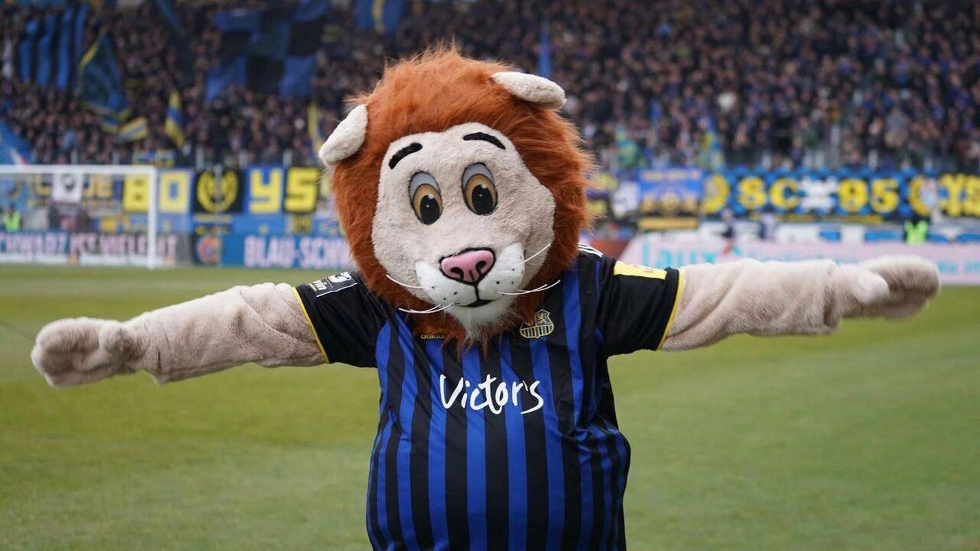 布伦瑞克客场大胜，意气风发的简单介绍