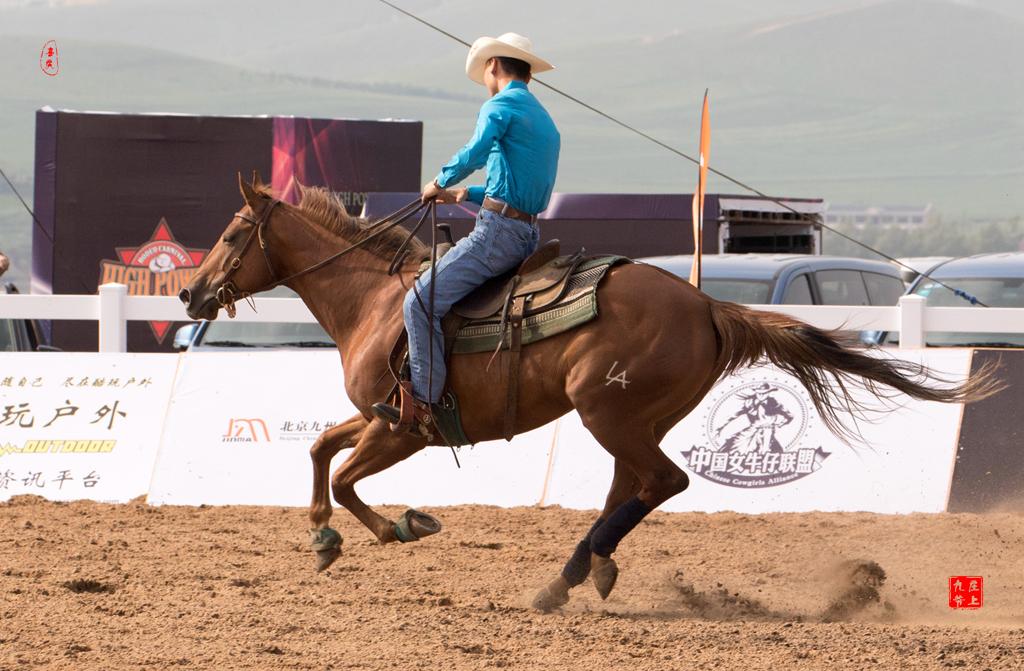 包含太阳击败小牛，布克奥顿联袂砍下30+得分的词条