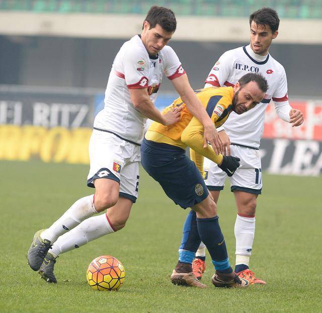 热那亚主场不敌维罗纳，保级前景堪忧的简单介绍